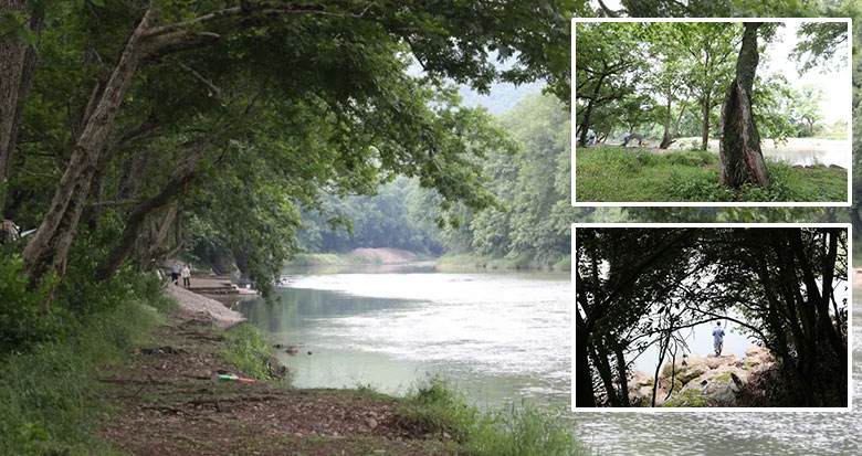 �������¡���ˮ�����������@Ƭ���GҰ��ۙ�����ˣ�