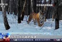 �ŚwҰ��һ�� �����_ɽ1̖���F����r�����