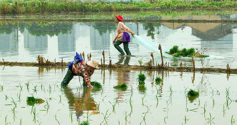 â�N���� �r������æ