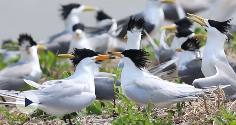 �ؼҿ�һ������ ����Ԓ֮�B����ô����?