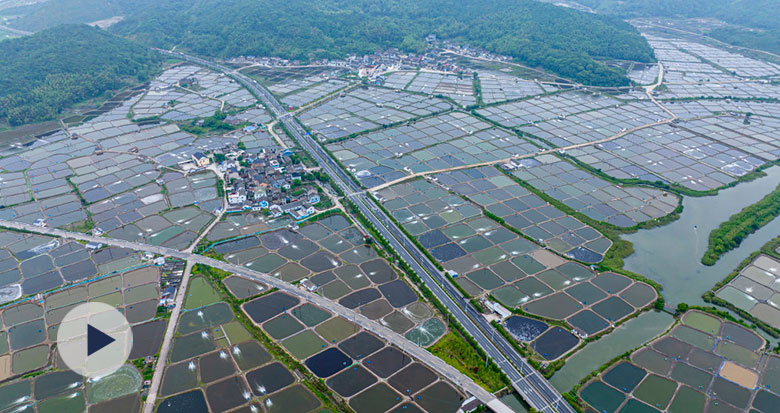 ۴�������@Ƭ���{ɫ�P���L�͝O���¸�·