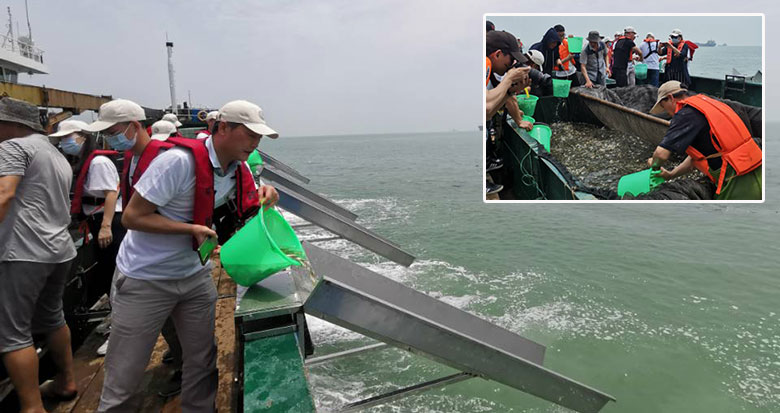 8�|��β ��20������ˮƷ�N �����e�д�Ҏģ��ֳ����