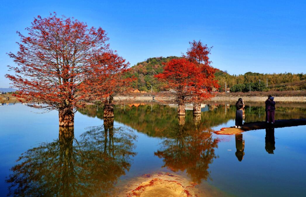 ̫���������ˮ��tɼ��